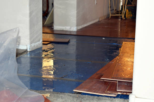 Professional Flood Cleanup technician working in Ithaca, MI